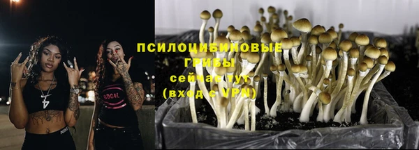 хмурый Баксан